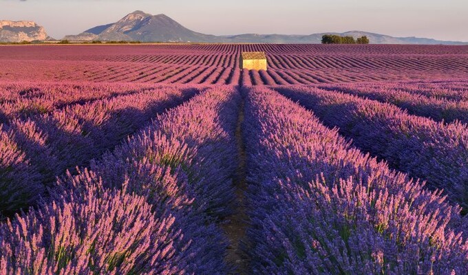 Vélo en Provence