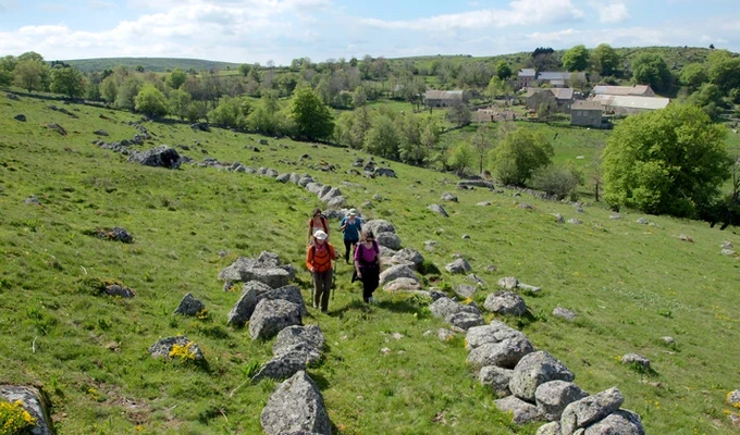 Grande Traversée du Massif central, du Cantal à l'Aubrac Grande Traversée du Massif central, du Cantal à l'Aubrac